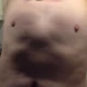 shakumaku21