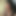 Celebscumtribute