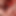 YourjuicyPussy69