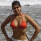 Shraddha111111