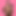 cd_tami2
