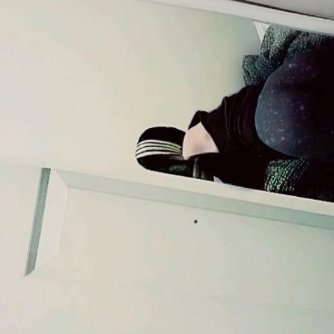 Sinfulfaggx