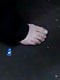 likefeet