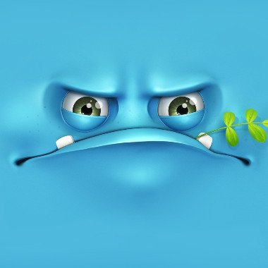 S_chlen