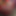 pornguy69