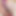 Punjabi_8inchdick
