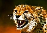 Xhamster profile picture for @erotic