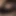 ManBoobsAndNipples