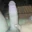 KingLongdick24