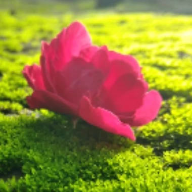 sreejith05