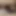 Sissycuckcrissy