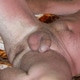 mytoy3