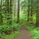 TrailRunner82