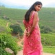 Lucky-desi-man