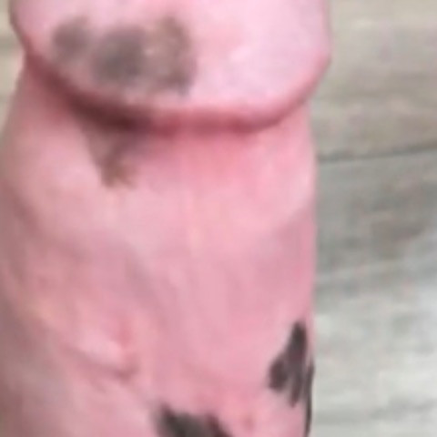 BBC_Balls