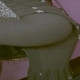 Wife-ASS-HOLE