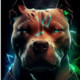 mrdoggpound420