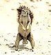 nickman_1982