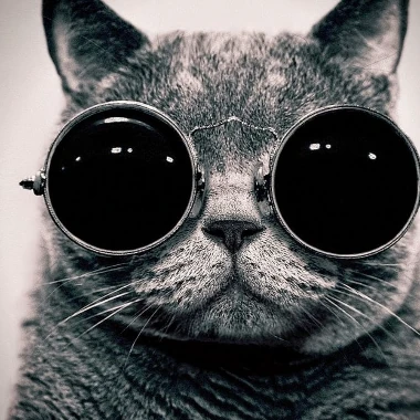 cyberpirat