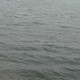 A_04x