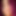 cd_lori4hotcummm