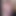 Oral_Artist804