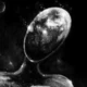 cimbomlu1234