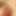 PervGuyNord