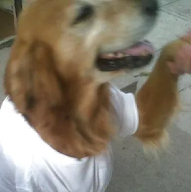 Guampiro