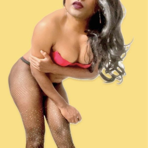 Bobysisy
