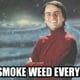 robadubmarley