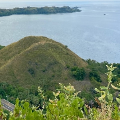 agungmex01