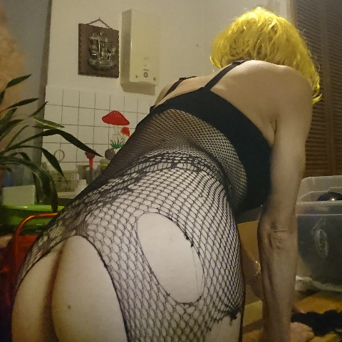 Cock4you1973