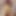 chicksndix