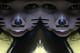 shady_girl