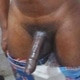 mumbaidesiblackbull