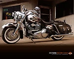 wild_biker