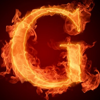 georr1