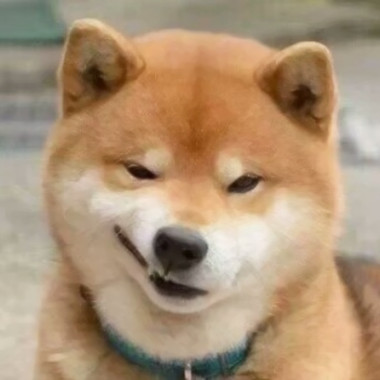 chinadogboy