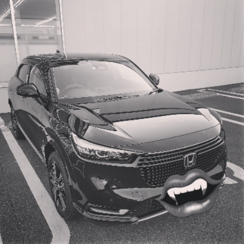 Vezeljapan