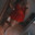 Karodreambbw