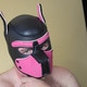 greywolfjerking