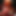 negisio0224