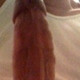 Bigcockbrad699
