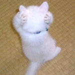 KaeruKaeru