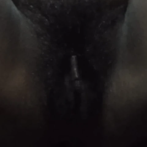 saritajawani13