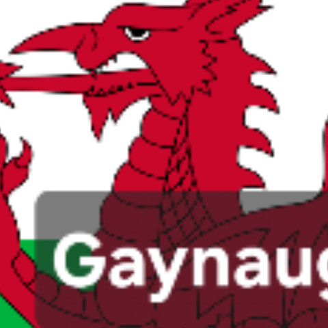 Gaynaughtywelsh