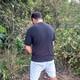 DaviFoz