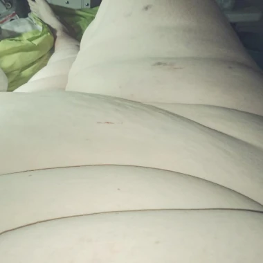 ssbbwcuddlyslut