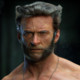 Wolverine2030